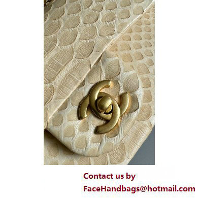 Chanel Mini Flap Bag with Top Handle in python leather AS2431 21 2025