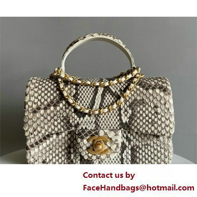 Chanel Mini Flap Bag with Top Handle in python leather AS2431 22 2025