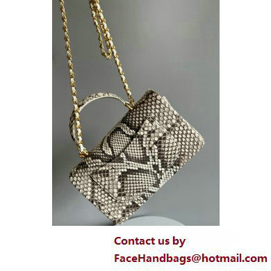 Chanel Mini Flap Bag with Top Handle in python leather AS2431 22 2025