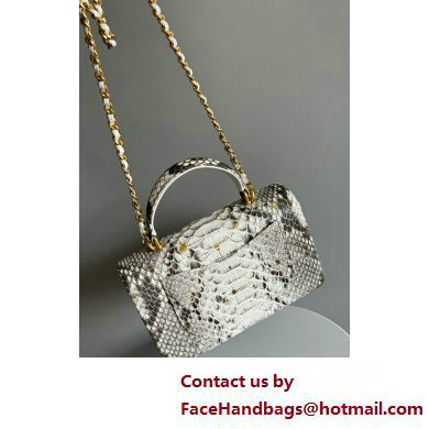 Chanel Mini Flap Bag with Top Handle in python leather AS2431 23 2025