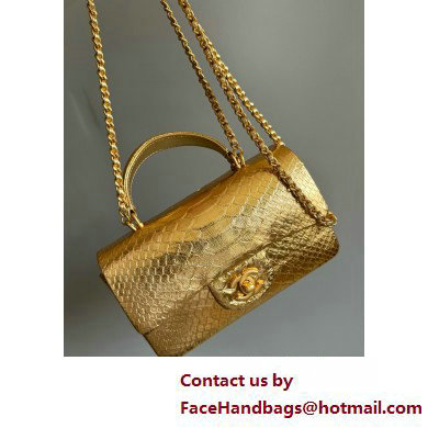 Chanel Mini Flap Bag with Top Handle in python leather AS2431 24 2025