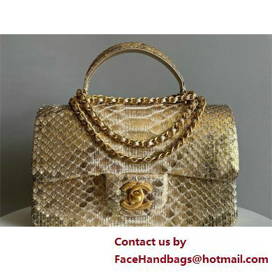 Chanel Mini Flap Bag with Top Handle in python leather AS2431 26 2025