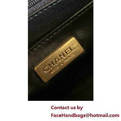 Chanel Mini Flap Bag with Top Handle in python leather AS2431 28 2025