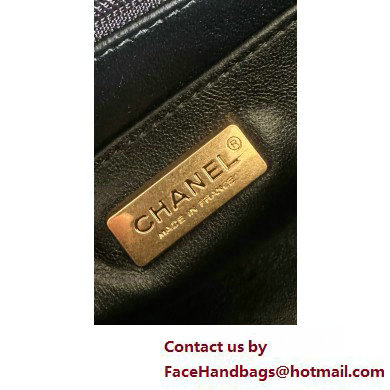 Chanel Mini Flap Bag with Top Handle in python leather AS2431 29 2025