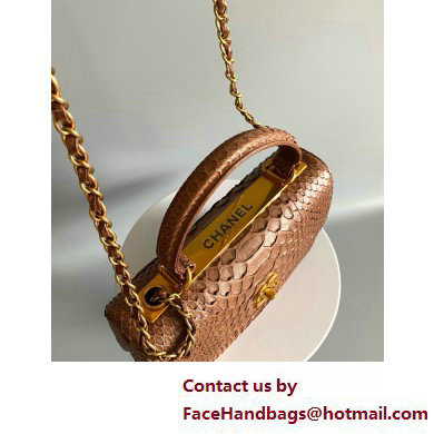 Chanel Trendy CC Flap With Top Handle Bag in python leather brown 2025