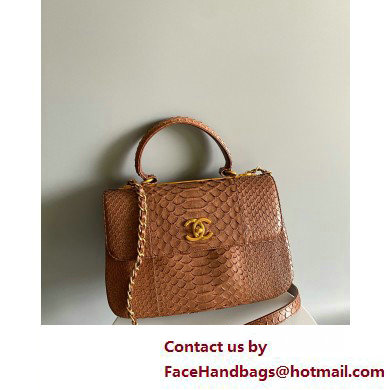 Chanel Trendy CC Flap With Top Handle Bag in python leather brown 2025