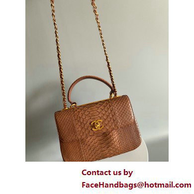 Chanel Trendy CC Flap With Top Handle Bag in python leather brown 2025