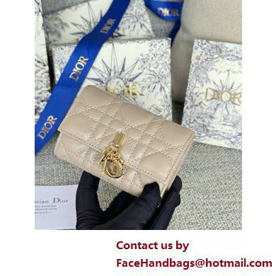 DIOR Dioriviera My Dior Glycine Wallet in light gray Cannage Lambskin 2025