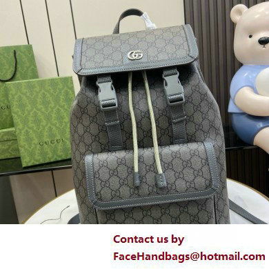 GUCCI Ophidia small GG backpack IN gray GG Supreme canvas 792114 2025