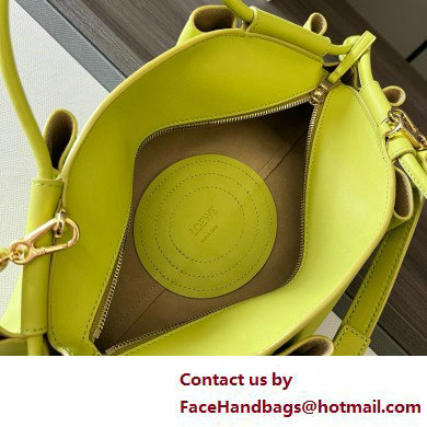 LOEWE Small Paseo bag in shiny nappa calfskin lemon yellow 2025