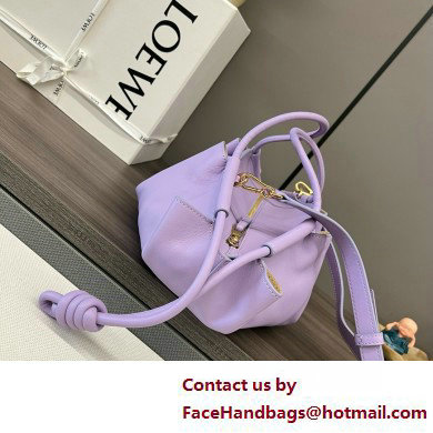 LOEWE Small Paseo bag in shiny nappa calfskin purple 2025