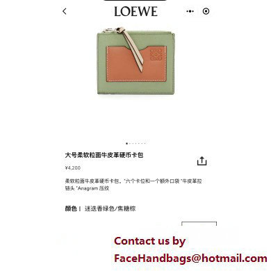 Loewe Large coin cardholder in soft grained calfskin Green