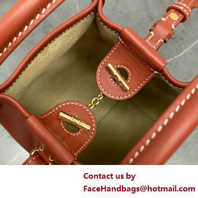 Loro Piana Micro Bale bag in Calfskin 05