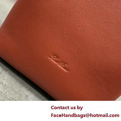 Loro Piana Micro Bale bag in Calfskin 05