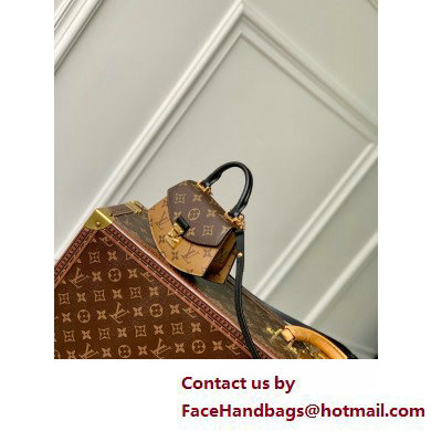 Louis Vuitton Monogram and Monogram Reverse canvas Pico Tilsitt Bag M83473 2025