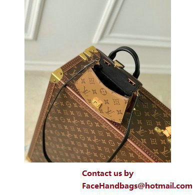 Louis Vuitton Monogram and Monogram Reverse canvas Pico Tilsitt Bag M83473 2025