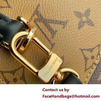 Louis Vuitton Monogram and Monogram Reverse canvas Tilsitt Bag M46548 2025