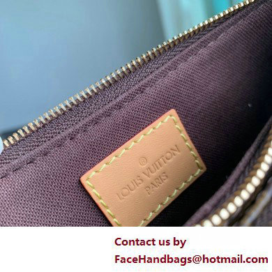 Louis Vuitton Monogram canvas Liv Pochette Bag M83008 2025