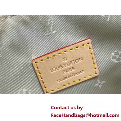 Louis Vuitton Monogram jacquard fabric CarryAll PM Bag M24707 Multicolor Beige 2025