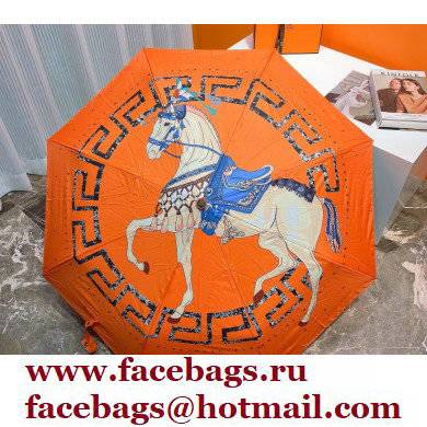 Hermes Umbrella 10 2022