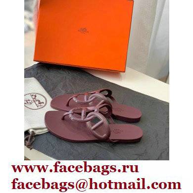 Hermes Egerie Chaine D'ancre TPU Flip Flops Thongs Sandals Burgundy 2022