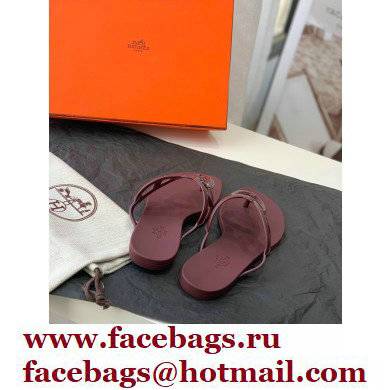 Hermes Egerie Chaine D'ancre TPU Flip Flops Thongs Sandals Burgundy 2022