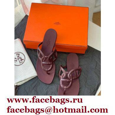 Hermes Egerie Chaine D'ancre TPU Flip Flops Thongs Sandals Burgundy 2022